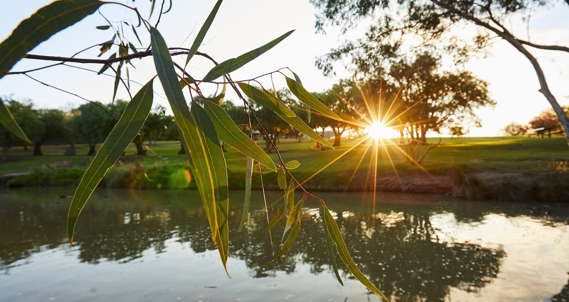 Recognising Kingsfield for World Environment Day